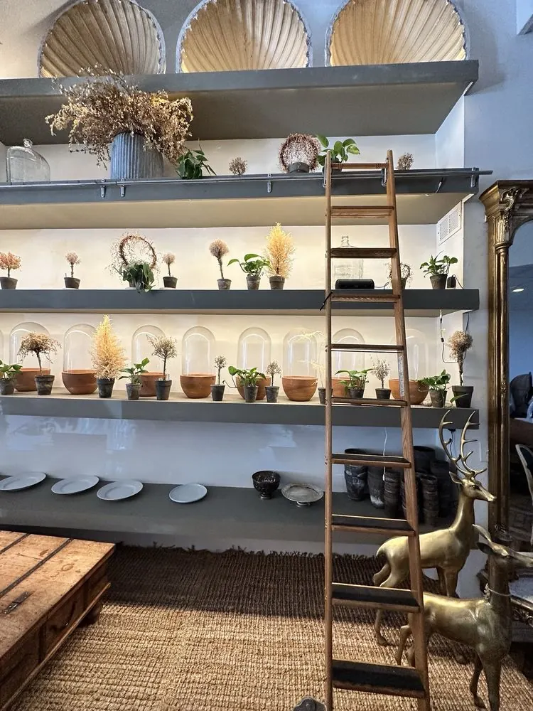 Lit shelves of potted topiaries and glass cloches with a library ladder and brass deer