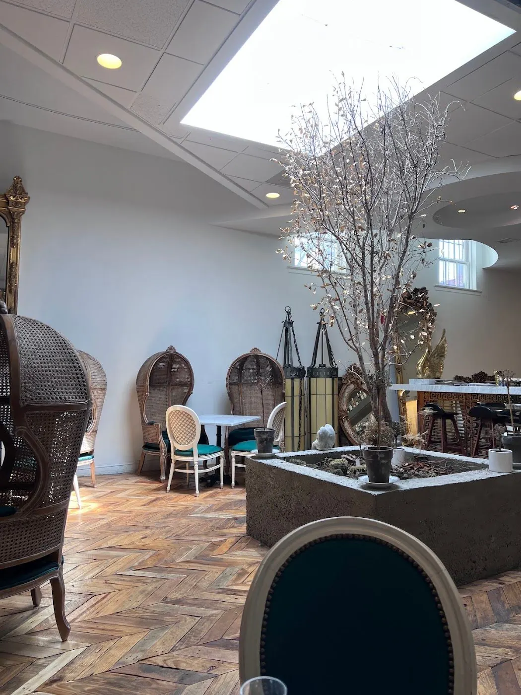 The gold tree in a stone planter under the skylight, with porter chairs and the bar behind it