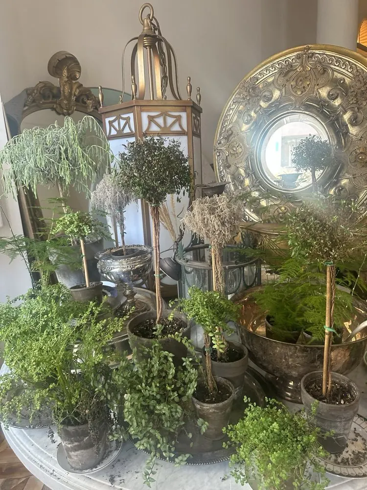 Small topiaries and ferns in silver pots around a brass lantern and an engraved silver charger